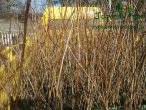 12013-03-24-15.07.03.jpg