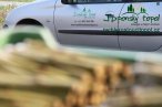 japonsky-topol-img_3159.jpg