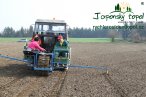 japonsky-topol-img_3200.jpg