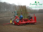 rychle-rostouci-topol-zastineny-rizek-japonsky-topolenergy_2_stor.jpg