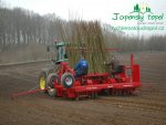 rychle-rostouci-topolenergy_2_stor.jpg