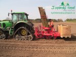 rychle-rostouci-topolenergy_2raekket_3_stor.jpg