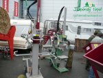 rychle-rostouci-topolp1120579.jpg