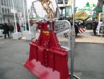 rychle-rostouci-topolp1120585.jpg