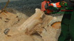 s2480057.jpg