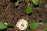 vystava-valtice-img_1930.jpg