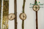vystava-valtice-img_1934.jpg