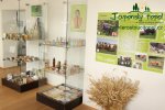 vystava-valtice-img_1943.jpg