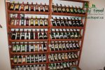 vystava-valtice-img_2002.jpg