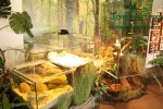 vystava-valtice-img_2031.jpg
