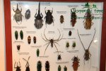 vystava-valtice-img_2053.jpg