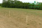 rychlerostoucitopol-experimentalni-poles1030025.jpg