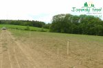 rychlerostoucitopol-experimentalni-poles1030026.jpg