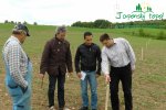 rychlerostoucitopol-experimentalni-poles1040025.jpg