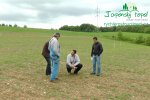 rychlerostoucitopol-experimentalni-poles1040030.jpg