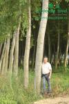 rychlerostoucitopol-italska-plantazimg_3262.jpg