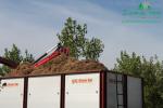 rychlerostoucitopol.cz-italska-plantaz-japonskeho-topoluimg_3043.jpg