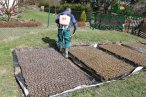 vodni-paprsek-m-img_1798.jpg