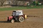 vodni-paprsek-m-img_2854.jpg